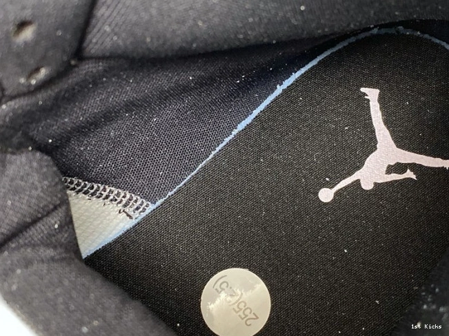 1st Kicks Shoes Powder 1 BQ6472-602 Air Jordan Dirty (W) Iridescent Mid 0804